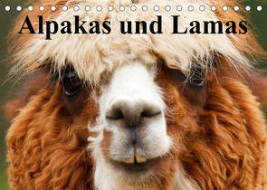 Alpakas und Lamas (Tischkalender 2023 DIN A5 quer) von Stanzer,  Elisabeth