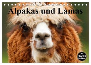 Alpakas und Lamas (Tischkalender 2024 DIN A5 quer), CALVENDO Monatskalender von Stanzer,  Elisabeth