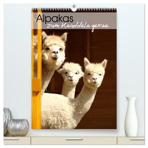 Alpakas zum Knuddeln gerne (hochwertiger Premium Wandkalender 2024 DIN A2 hoch), Kunstdruck in Hochglanz von Rentschler,  Heidi