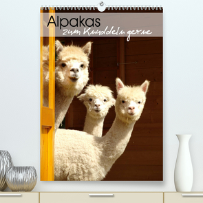 Alpakas zum Knuddeln gerne (Premium, hochwertiger DIN A2 Wandkalender 2023, Kunstdruck in Hochglanz) von Rentschler,  Heidi