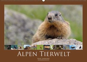 Alpen Tierwelt (Wandkalender 2019 DIN A2 quer) von Tappeiner,  Kurt