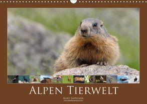 Alpen Tierwelt (Wandkalender 2019 DIN A3 quer) von Tappeiner,  Kurt