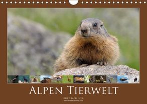 Alpen Tierwelt (Wandkalender 2019 DIN A4 quer) von Tappeiner,  Kurt