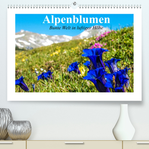 Alpenblumen. Bunte Welt in luftiger Höhe (Premium, hochwertiger DIN A2 Wandkalender 2022, Kunstdruck in Hochglanz) von Stanzer,  Elisabeth