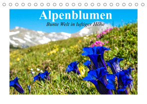 Alpenblumen. Bunte Welt in luftiger Höhe (Tischkalender 2022 DIN A5 quer) von Stanzer,  Elisabeth