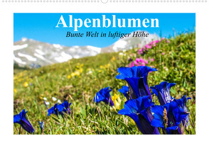 Alpenblumen. Bunte Welt in luftiger Höhe (Wandkalender 2022 DIN A2 quer) von Stanzer,  Elisabeth