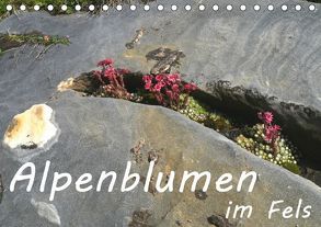 Alpenblumen im Fels (Tischkalender 2018 DIN A5 quer) von Goldscheider,  Stefanie