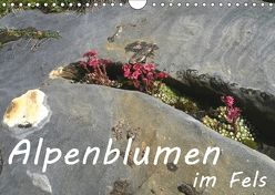 Alpenblumen im Fels (Wandkalender 2018 DIN A4 quer) von Goldscheider,  Stefanie