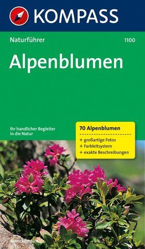 Alpenblumen von Jaitner,  Christine