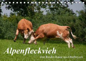 Alpenfleckvieh (Tischkalender 2023 DIN A5 quer) von Gasteiger,  Karolina