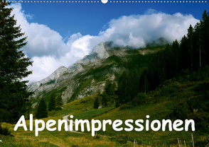 Alpenimpressionen, Region Schweiz/Frankreich (Wandkalender 2021 DIN A2 quer) von HM-Fotodesign