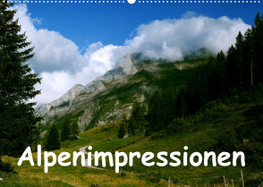 Alpenimpressionen, Region Schweiz/Frankreich (Wandkalender 2023 DIN A2 quer) von HM-Fotodesign