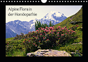 Alpine Flora in der Homöopathie (Wandkalender 2020 DIN A4 quer) von Schimon,  Claudia