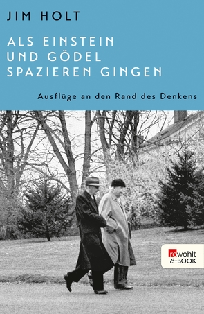 Als Einstein und Gödel spazieren gingen von Holt,  Jim, Niehaus,  Monika, Schuh,  Bernd