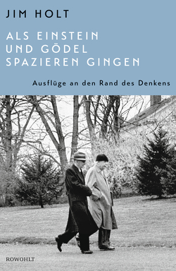 Als Einstein und Gödel spazieren gingen von Holt,  Jim, Niehaus,  Monika, Schuh,  Bernd