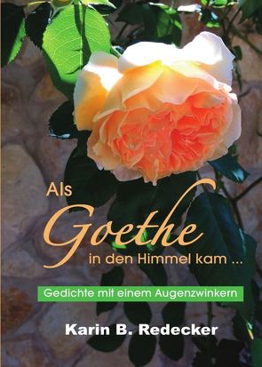 Als Goethe in den Himmel kam … von Redecker,  Karin B.