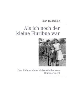 Als ich noch der kleine Fluribua war von Tscherning,  Erich