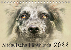 Altdeutsche Hütehunde 2022 (Tischkalender 2022 DIN A5 quer) von Redecker,  Andrea