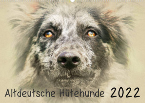 Altdeutsche Hütehunde 2022 (Wandkalender 2022 DIN A2 quer) von Redecker,  Andrea