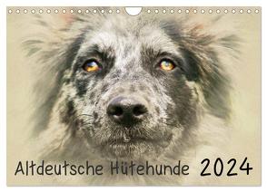 Altdeutsche Hütehunde 2024 (Wandkalender 2024 DIN A4 quer), CALVENDO Monatskalender von Redecker,  Andrea