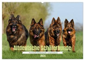 Altdeutsche Schäferhunde – Traumhafte Schäferhunde Langstockhaar (Wandkalender 2024 DIN A2 quer), CALVENDO Monatskalender von K. Fotografie,  Jana