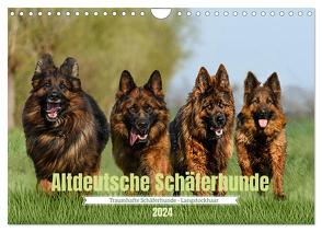 Altdeutsche Schäferhunde – Traumhafte Schäferhunde Langstockhaar (Wandkalender 2024 DIN A4 quer), CALVENDO Monatskalender von K. Fotografie,  Jana