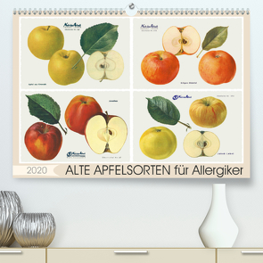 Alte Apfelsorten für Allergiker (Premium, hochwertiger DIN A2 Wandkalender 2020, Kunstdruck in Hochglanz) von M. Laube,  Lucy