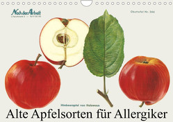 Alte Apfelsorten für Allergiker (Wandkalender 2023 DIN A4 quer) von 1948,  Willi