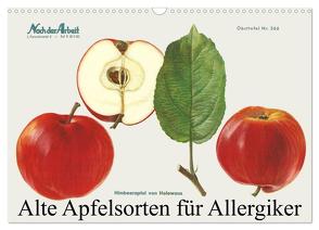 Alte Apfelsorten für Allergiker (Wandkalender 2024 DIN A3 quer), CALVENDO Monatskalender von 1948,  Willi