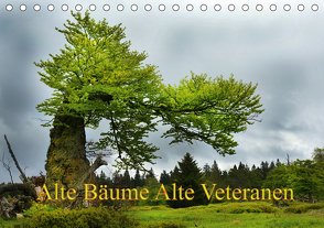 Alte Bäume Alte Veteranen (Tischkalender 2021 DIN A5 quer) von Bäume Alte Veteranen,  Alte