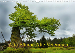 Alte Bäume Alte Veteranen (Wandkalender 2020 DIN A4 quer) von Bäume Alte Veteranen,  Alte