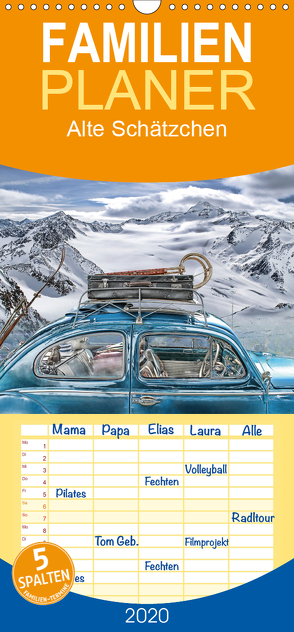 Alte Schätzchen – Familienplaner hoch (Wandkalender 2020 , 21 cm x 45 cm, hoch) von G. Pinkawa / Jo.PinX,  Joachim