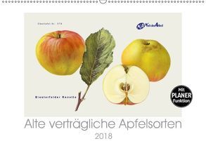 Alte verträgliche Apfelsorten (Wandkalender 2018 DIN A2 quer) von M. Laube,  Lucy