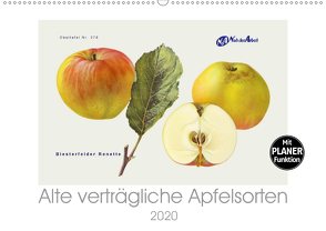 Alte verträgliche Apfelsorten (Wandkalender 2020 DIN A2 quer) von M. Laube,  Lucy