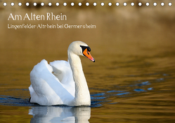 Am Alten Rhein – Lingenfelder Altrhein bei Germersheim (Tischkalender 2020 DIN A5 quer) von Fietz,  Günter