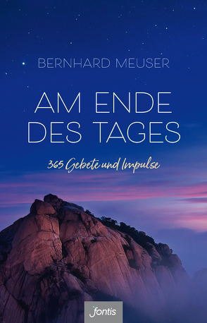 Am Ende des Tages von Meuser,  Bernhard