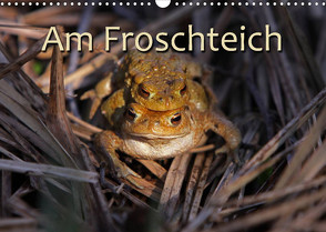 Am Froschteich (Wandkalender 2022 DIN A3 quer) von Berg,  Martina