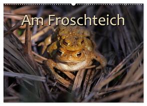 Am Froschteich (Wandkalender 2024 DIN A2 quer), CALVENDO Monatskalender von Berg,  Martina