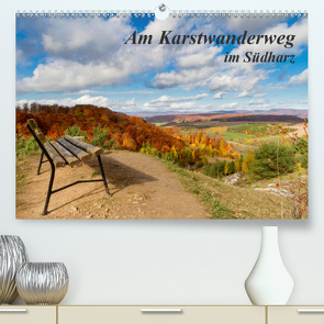 Am Karstwanderweg im Südharz (Premium, hochwertiger DIN A2 Wandkalender 2021, Kunstdruck in Hochglanz) von Levi,  Andreas