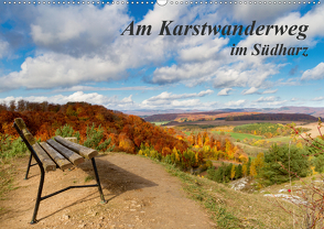 Am Karstwanderweg im Südharz (Wandkalender 2021 DIN A2 quer) von Levi,  Andreas