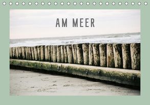 AM MEER (Tischkalender 2019 DIN A5 quer) von Golanowski,  Andreas