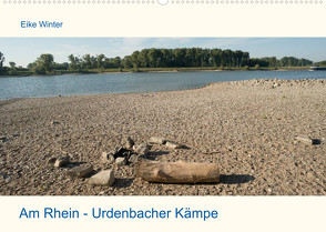 Am Rhein – Urdenbacher Kämpe (Wandkalender 2022 DIN A2 quer) von Winter,  Eike