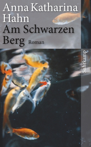 Am Schwarzen Berg von Hahn,  Anna Katharina