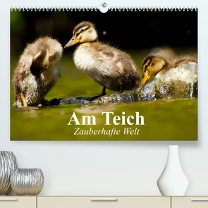 Am Teich. Zauberhafte Welt (Premium, hochwertiger DIN A2 Wandkalender 2022, Kunstdruck in Hochglanz) von Stanzer,  Elisabeth