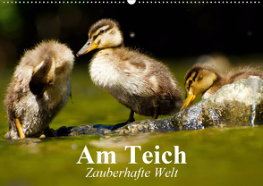 Am Teich. Zauberhafte Welt (Wandkalender 2021 DIN A2 quer) von Stanzer,  Elisabeth