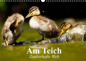 Am Teich. Zauberhafte Welt (Wandkalender 2022 DIN A3 quer) von Stanzer,  Elisabeth