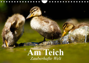 Am Teich. Zauberhafte Welt (Wandkalender 2022 DIN A4 quer) von Stanzer,  Elisabeth