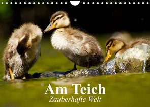 Am Teich. Zauberhafte Welt (Wandkalender 2023 DIN A4 quer) von Stanzer,  Elisabeth