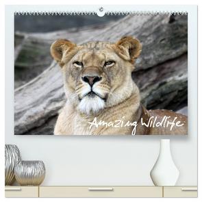 Amazing Wildlife (hochwertiger Premium Wandkalender 2024 DIN A2 quer), Kunstdruck in Hochglanz von Hebbel-Seeger,  Andreas