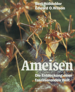 Ameisen von Böll,  S., Hölldobler,  Bert, Wilson,  Edward O.